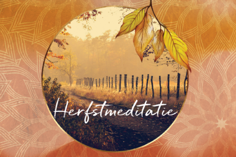 Laat het los met deze herfstmeditatie