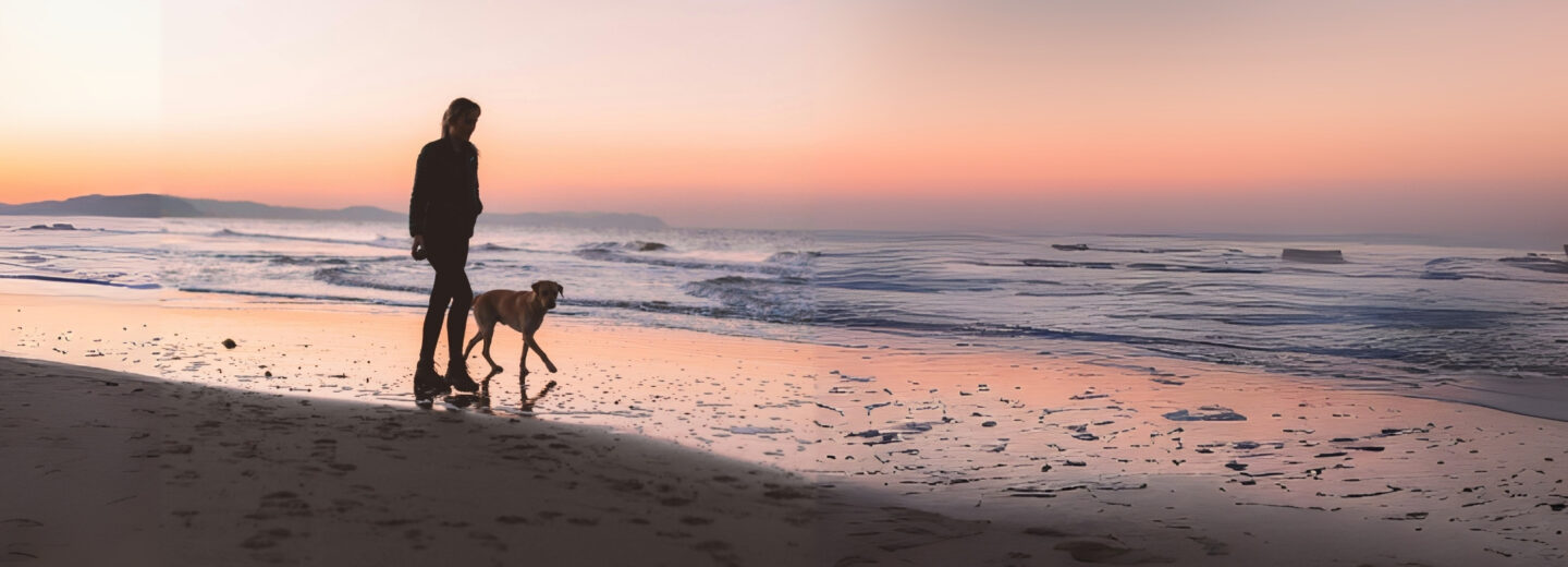 Wat je van honden kunt leren over mindfulness