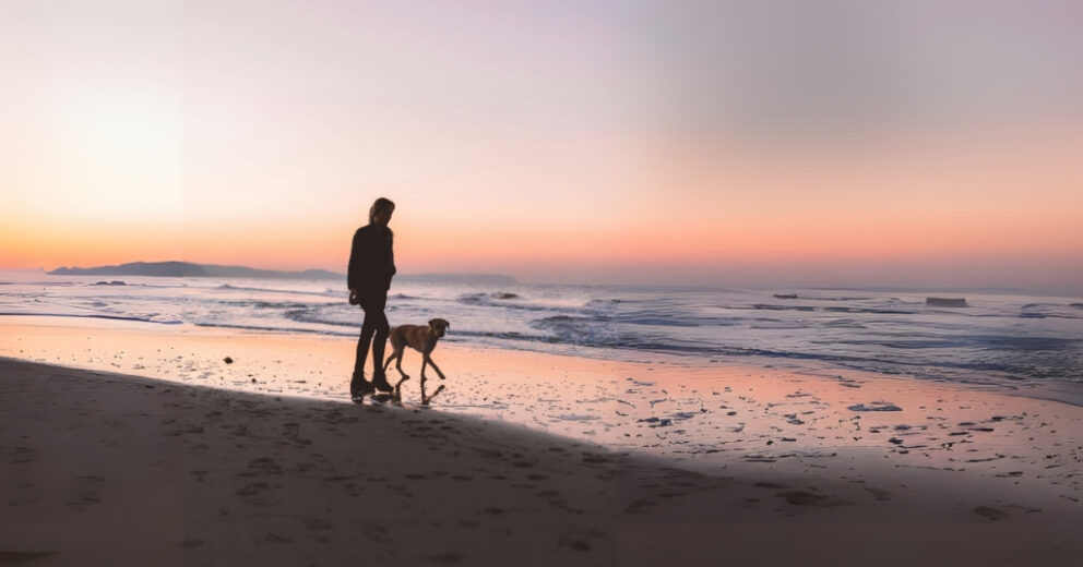 Wat je van honden kunt leren over mindfulness