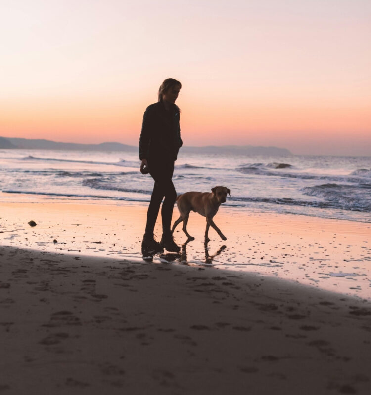 Wat je van honden kunt leren over mindfulness