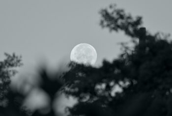 De volle maan van 7 oktober 2025 legt de focus op jezelf én je relaties
