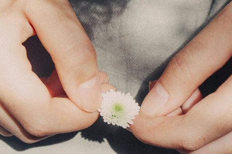 Dienstbaarheid: een ode aan de helpende hand