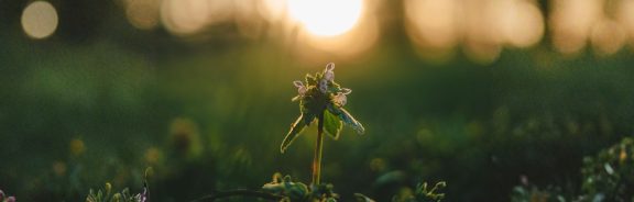 Hoopvol leven: de kracht van actieve hoop