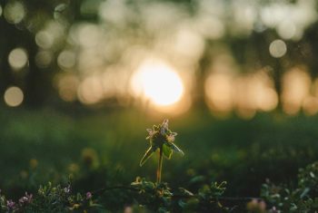 Hoopvol leven: de kracht van actieve hoop