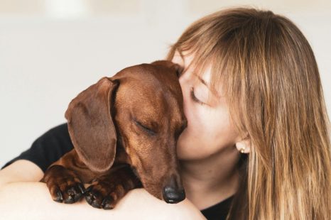 Wat we van onze huisdieren kunnen leren