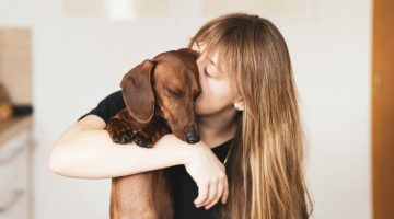 Wat we van onze huisdieren kunnen leren