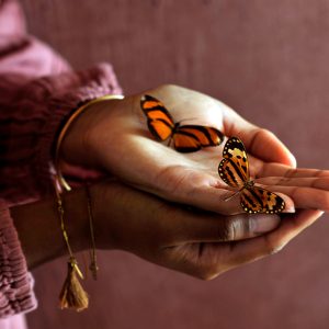 Online training Handlezen