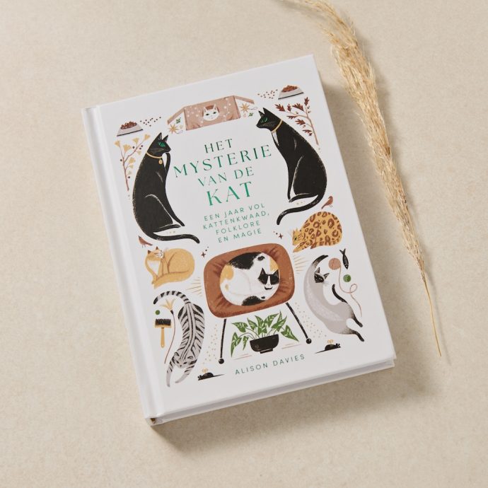 Boek – Het mysterie van de kat_01 1