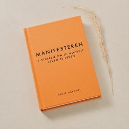 Manifesteren – 7 stappen om je mooiste leven te krijgen