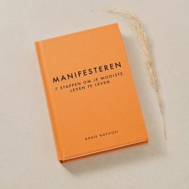 Manifesteren - 7 stappen om je mooiste leven te krijgen