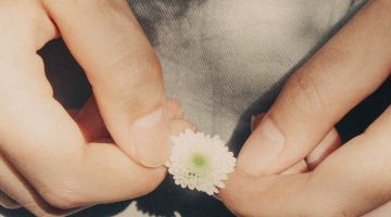 Dienstbaarheid: een ode aan de helpende hand