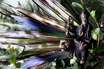 Magie maak je samen: acht spirituele combinaties