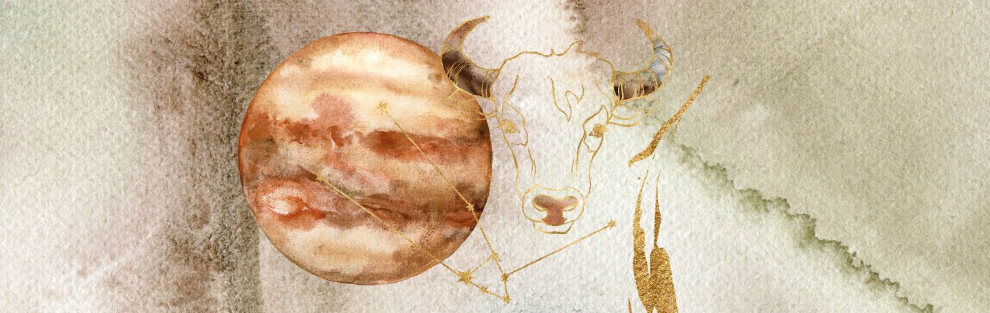 Stier, dit is je jaarhoroscoop voor 2026