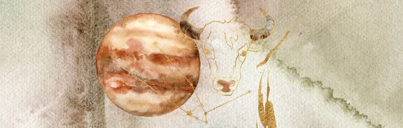 Stier, dit is je jaarhoroscoop voor 2026