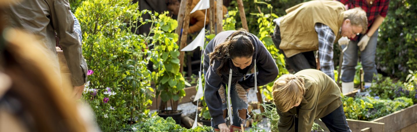Ieder een druppel, samen de oceaan: 24 hoopvolle initiatieven die de wereld helpen veranderen