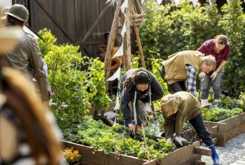 Ieder een druppel, samen de oceaan: 24 hoopvolle initiatieven die de wereld helpen veranderen