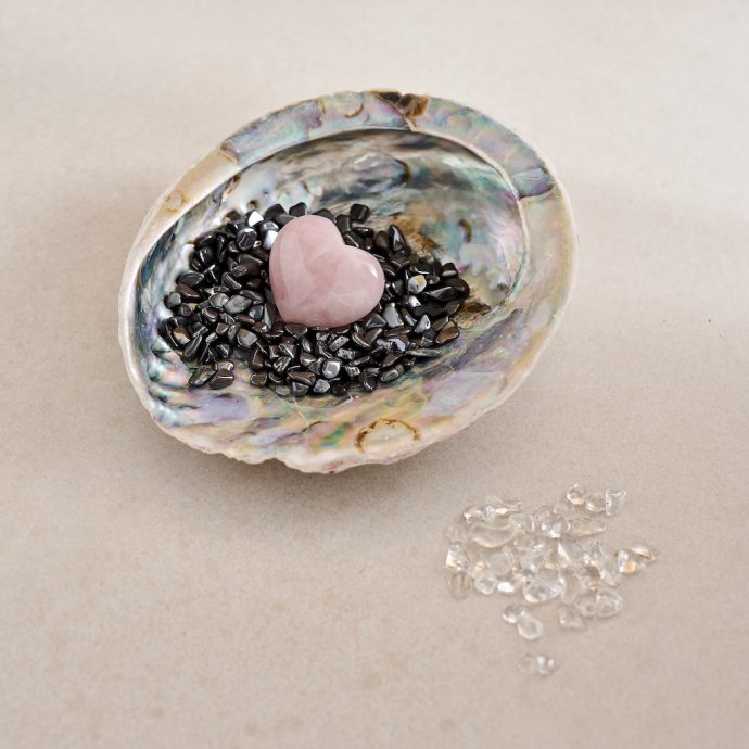 Abalone op- en ontlaadschelp