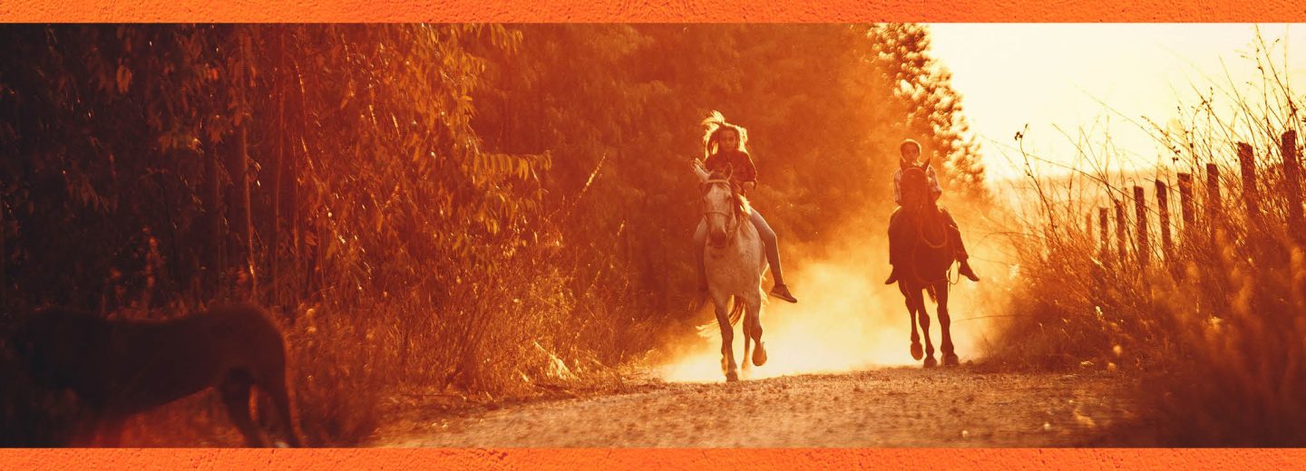 2026: het jaar van het Vuurpaard