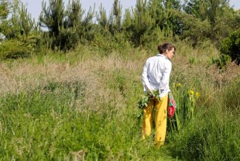 Een kijkje in Anke’s proeftuin: ‘Ik wilde het land teruggeven aan de natuur’