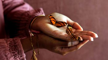 Online training Handlezen