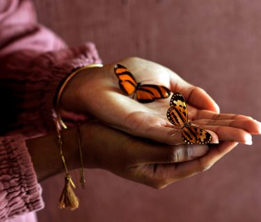 Online training Handlezen