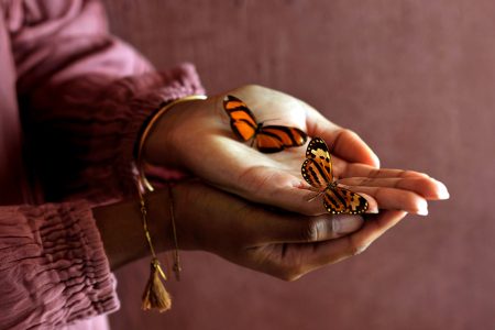 Online training Handlezen