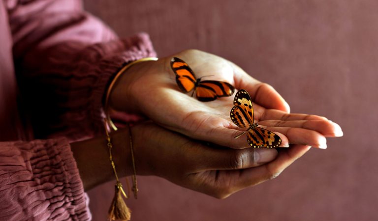 Online training Handlezen