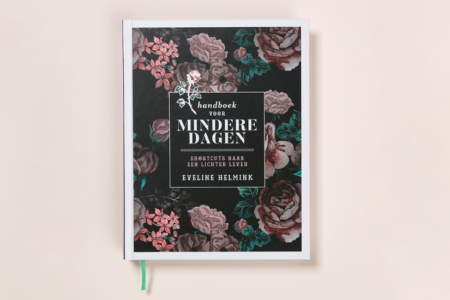 Cadeau bij deze training: Handboek voor mindere dagen (t.w.v. 16,50)
