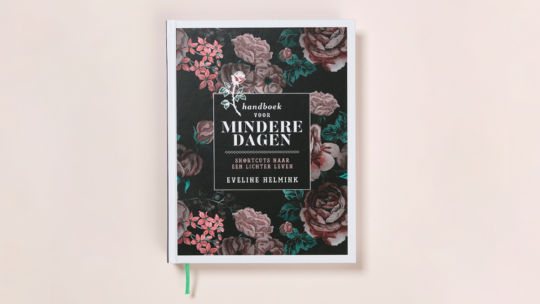 Cadeau bij deze training: Handboek voor mindere dagen (t.w.v. 16,50)